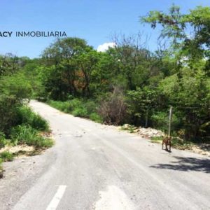 Terreno carretera federal Campeche-Champotón