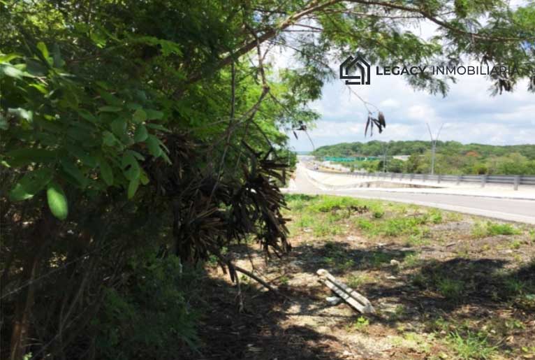 Terreno carretera federal Campeche-Champotón