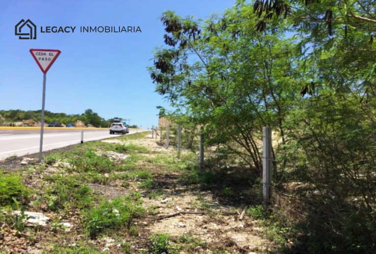Terreno carretera federal Campeche-Champotón